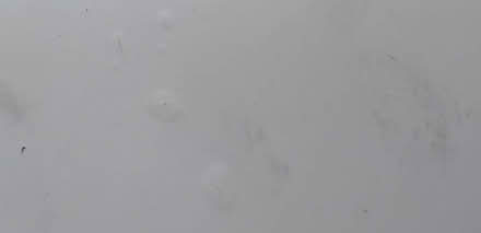 Photo of free Table (Carterknowle S7) #2