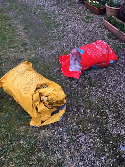 Photo of free rubble bags (Langwathby CA10) #1