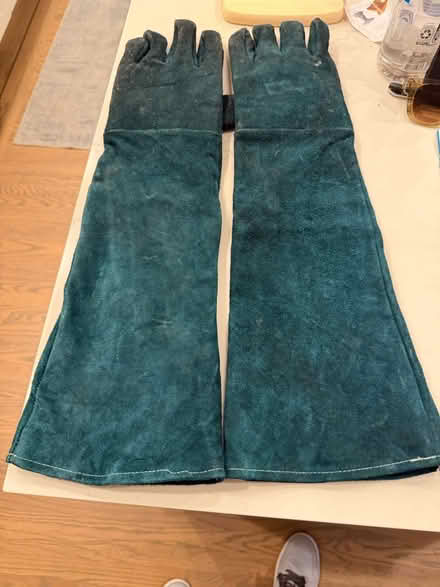 Photo of free Animal Handling Gloves (Larkspur ca) #2