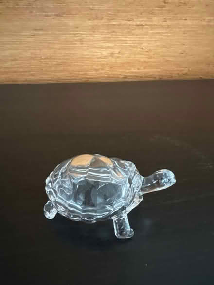 Photo of free Glass turtle (Ossining) #1