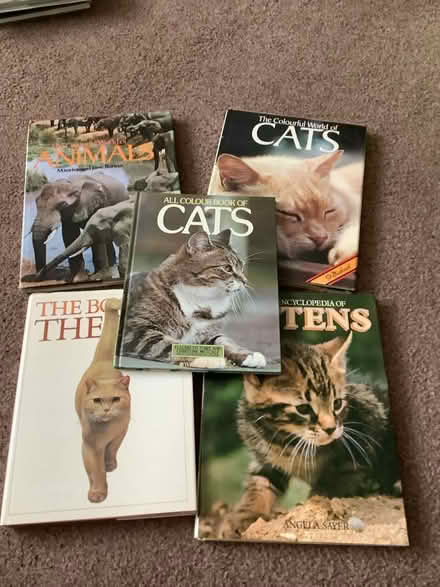 Photo of free Hardback books non-fiction books (BH9) #1