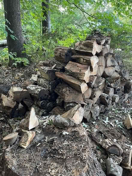 Photo of free Firewood (Fort Eustice area) #2