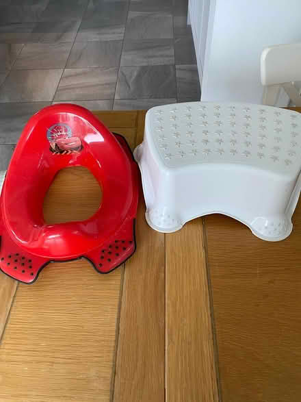 Photo of free Todlers toilet seat (ME16 - Allington) #1