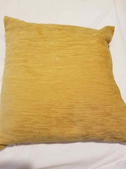 Photo of free gold cushion (St Albans AL3) #1