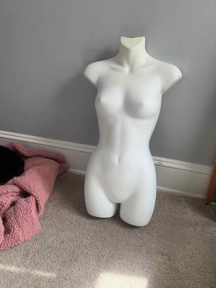 Photo of free Female half mannequin (W Bethlehem) #1