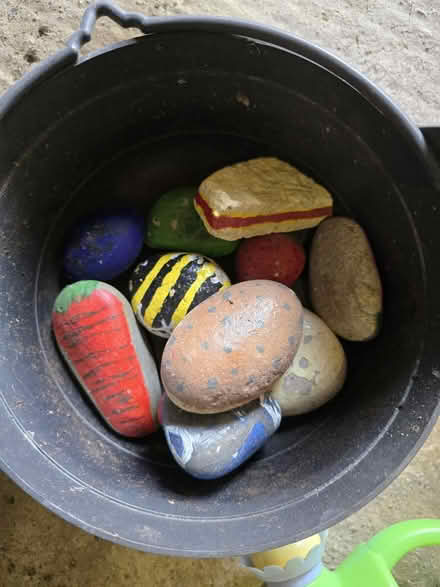 Photo of free Hand painted rocks (Wrose BD2) #1