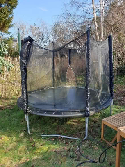 Photo of free The eternal trampoline (Colinton EH13) #1