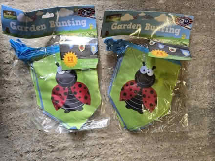 Photo of free Children's garden bunting (Wrose BD2) #1