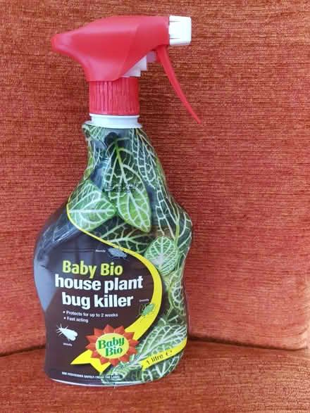 Photo of free Houseplant bug killer (Kendal LA9) #1