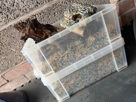 Photo of free Fishtank job lot (Bristol BS5) #2