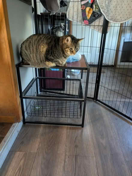 Photo of free Small square table with storage (La Pine) #1