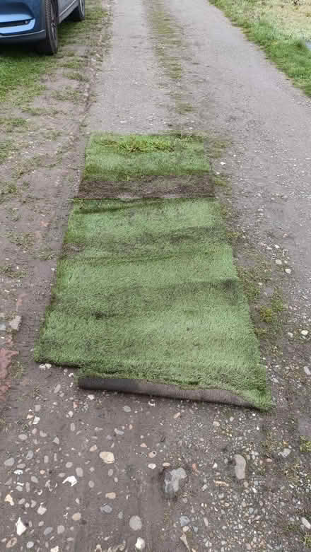 Photo of free Strips of muddy artificial grass (Shirley CR0) #1
