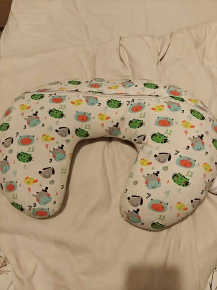 Photo of free Breast feeding pillow (Kennington OX14) #2