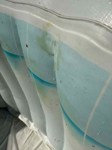 Photo of free Lay Z Spa Hot Tub (Horkesley Heath CO4) #2