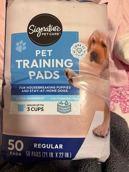 Photo of free pet training pads (nashua nh) #1