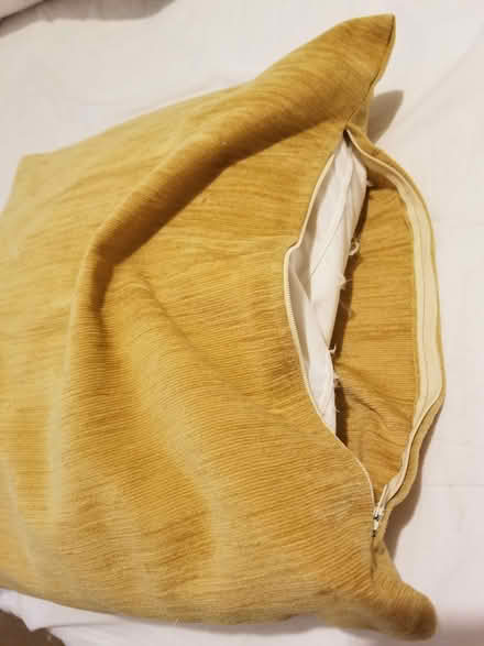 Photo of free gold cushion (St Albans AL3) #2