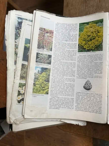 Photo of free Plant encyclopaedia (Little Herberts GL53) #3