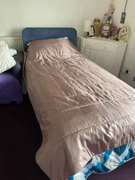 Photo of free Single satin Bed spread (Buckland TQ12) #1