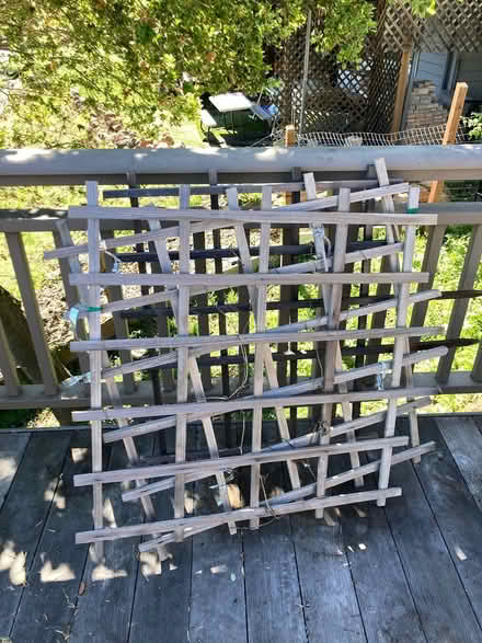 Photo of free Trellis (Palomar Park) #1