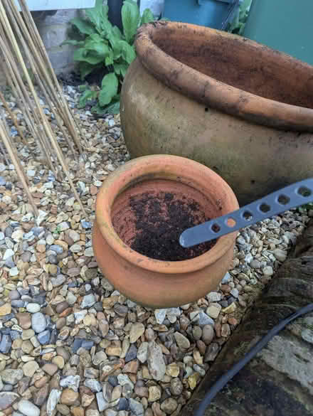 Photo of free Small garden pot (OX4 Boulter Street) #1