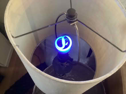 Photo of free CFL black and red (Northwest Seattle, phinney) #2