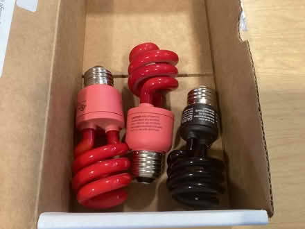 Photo of free CFL black and red (Northwest Seattle, phinney) #3