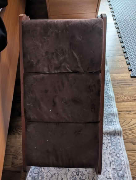 Photo of free Pet ramp (Esperance) #1