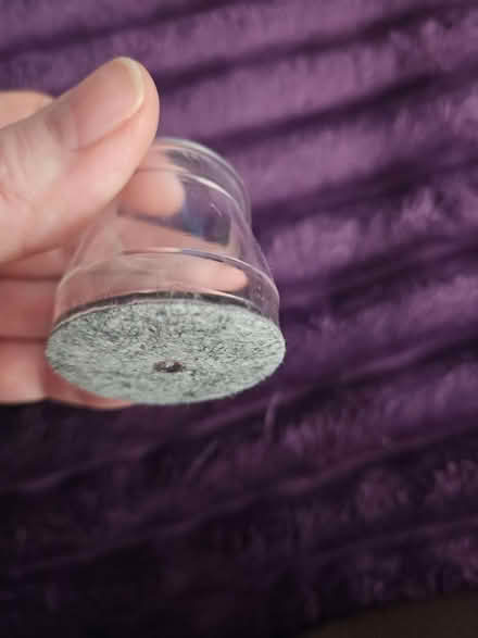 Photo of free Chair leg floor protectors (Himes Ave area Frederick) #3