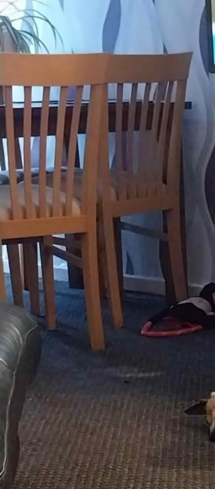 Photo of free Table an chairs (CH49) #3