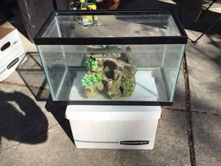 Photo of free Fish tank with a castle (Shorewood Hills WI) #1