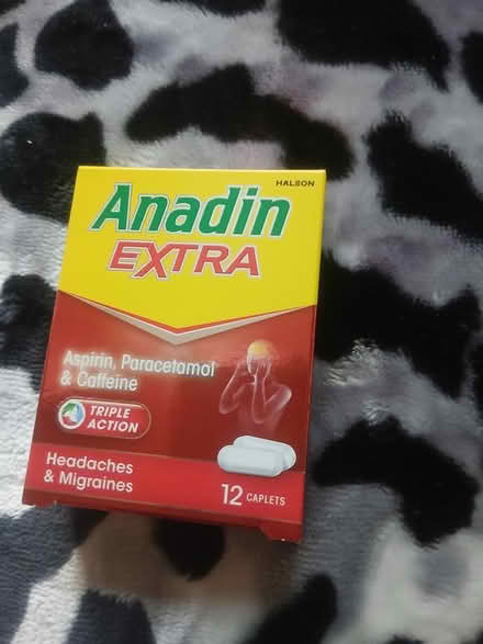 Photo of free Andin (Nw41 by Nw41by) #1