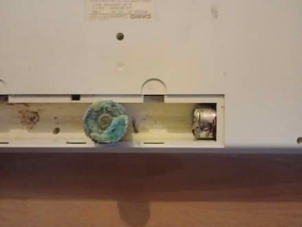 Photo of free Casio - Casiotone Keyboard (Dogsthorpe) #2