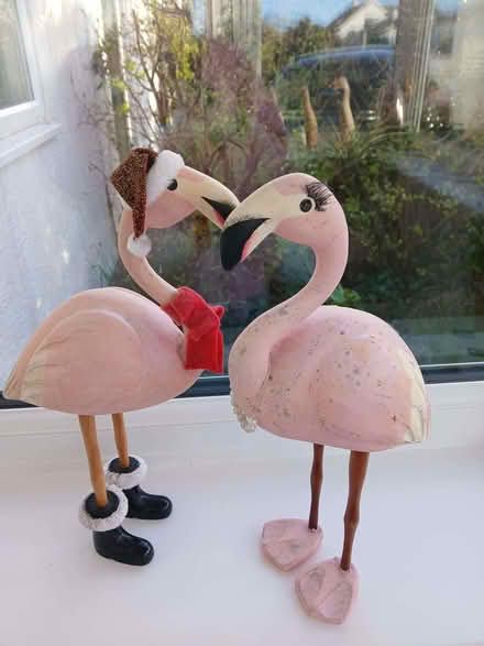 Photo of free Pair of DCUK flamingos (Carbis Bay TR26) #1