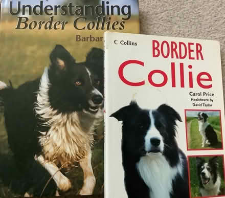 Photo of free A couple of Border Collie books (Wirksworth DE4) #1