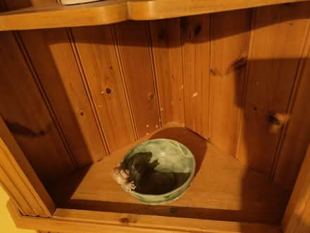 Photo of free Corner cabinet (Thames Ditton) #1