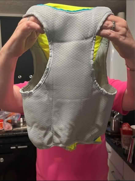 Photo of free dog cooling jacket (Long ditton) #2