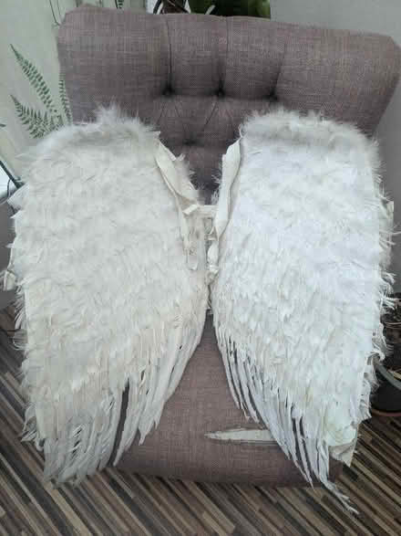 Photo of free Adult Fancy Dress Angel Wings (Stanton CH63) #1