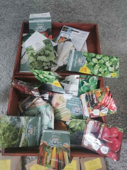 Photo of free Seeds, vegetables, gardening (Sutton Coldfield B74) #1