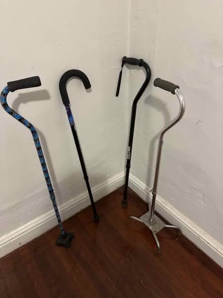 Photo of free Canes (Clason Point Bronx NY) #1
