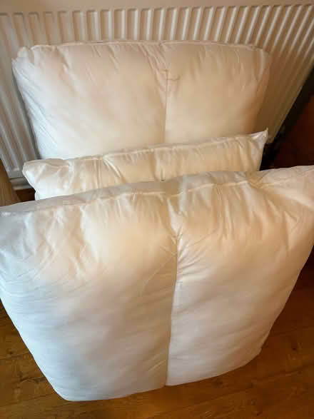 Photo of free 3 cushion inserts (very large squares) (Duffield DE56) #2