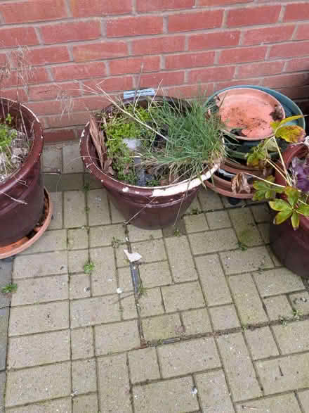 Photo of free Patio planters (B67 Smethwick) #4