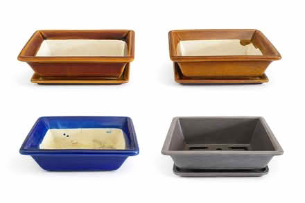 Photo of free Bonsai Pots (Gleadless S14) #1