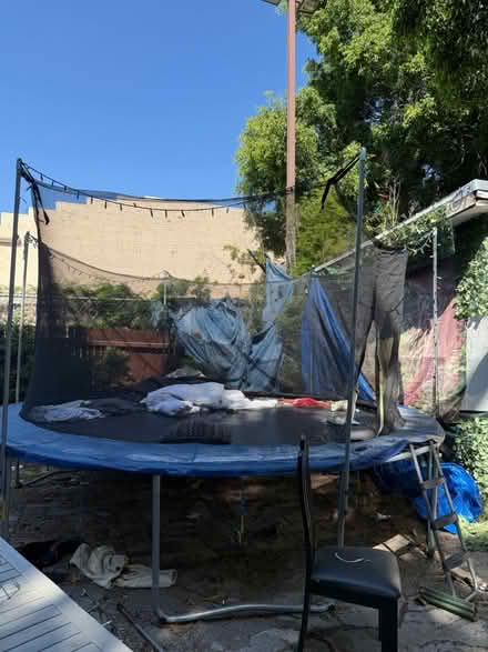 Photo of free trampoline (hollywood) #1