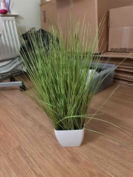 Photo of free Decorative plastic plant (Kings Hill ME19) #1