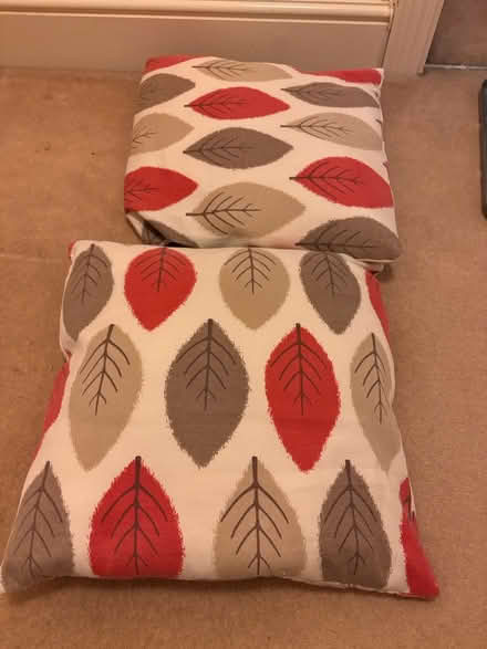 Photo of free 2 cushions (Kings Hill ME19) #1