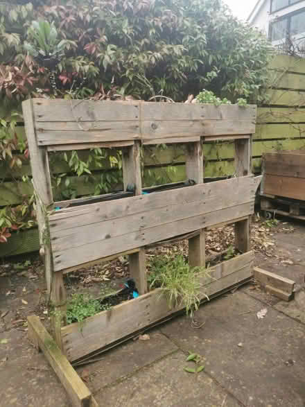 Photo of free Herbs and lettuce shelf, planter (Sutton Coldfield B74) #1