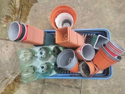 Photo of free Plant pots, for seedlings (Sutton Coldfield B74) #1