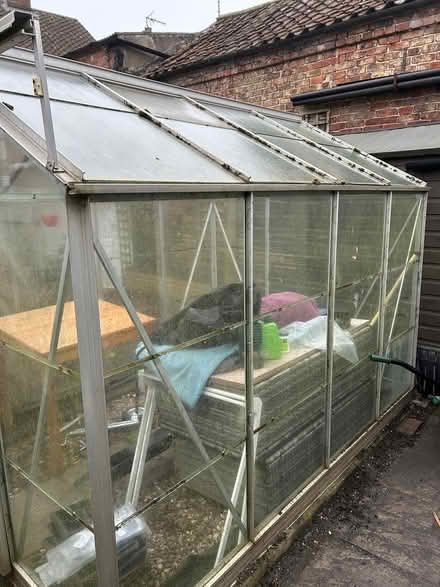 Photo of free Medium size Greenhouse (YO256SU) #1