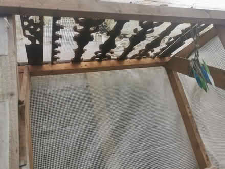 Photo of free Diy Greenhouse (Sutton Coldfield B74) #4