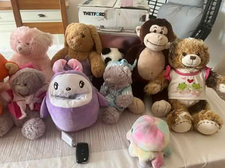 Photo of free Soft toys (Putloe GL2) #1